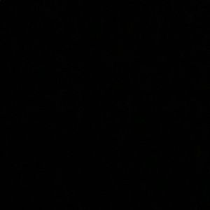 Meet your Posher, Tasneem